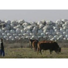 Miles de toneladas de basura apiladas en fardos se acumulan en Santa María del Páramo desde abril de