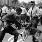 Enfrentamientos entre policía y homosexuales en los alrededores del Stonewall, en Nueva York en 1969.