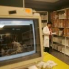 En el archivo del Hospital de León se amontonan los documentos médicos
