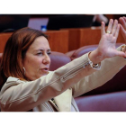 La procuradora socialista Rosa Rubio en un momento del pleno. NACHO GALLEGO