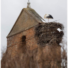 Una cigüeña ayer en su nido, en la iglesia de Lorenzana. PERNANDO OTERO PERANDONES
