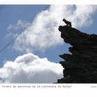 Imagen de un lobo en lo alto de una colina. JESÚS F. SALVADORES