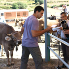 La feria de Puebla de Lillo reúne a los mejores ejemplares de la montaña.
