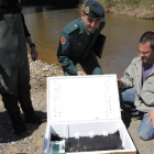 Suelta de angulas en el Llobregat por parte del Seprona tras un decomiso.