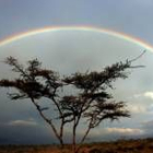 Unas apacibles vacaciones en Kenia pueden convertirse en un calvario para un turista poco previsor