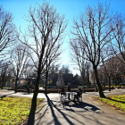 El Jardín de San Francisco es un bello y sombrío bosque urbano que tiene los ejemplares de castaños de Indias más preciados de todo el municipio y enormes cedros del Atlas introducidos en Europa cuando se creó el jardín.