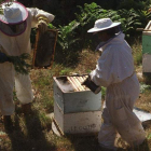 Los apicultores apelan a la colaboración ciudadana y de la Guardia Civil para evitar robos. L. DE LA MATA