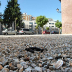 Junto a la muralla de Ruiz de Salazar es frecuente encontrar excrementos casi a diario.
