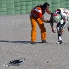 Rossi acabó en el suelo, ataviado con el mono de Yamaha de los setenta