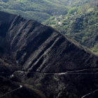 Ladera de la Tebaida, a los pocos días del incendio de abril de 2017 que quemó 1.300 hectáreas. AFB