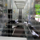 La Junta prepara a los farmacéuticos para que detecten maltrato en usuarias con excesiva frecuentación con síntomas sospechosos. DL