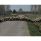 Carretera de titularidad provincial en las inmediaciones de la localidad de San Cristóbal de la Pola