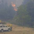 En el incendio de la zona de Montearenas se quemaron 163 hectáreas, más de noventa arboladas
