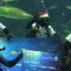 Dani y Mendieta felicitan las navidades desde el acuarium de Barcelona