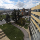 Los alumnos plantarán hoy árboles en el Campus. L. DE LA MATA