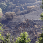 Un devastador incendio quemó diez mil hectáreas en La Cabrera, escenario de los visitas. MARCIANO