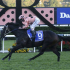 Black Caviar, en una carrera en Sídney.