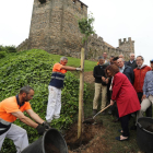 Plantación de cerezos en el castillo para conmemorar los 150 años de amistad con Japón.