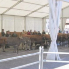 La feria de ganado de Oseja de Sajambre cumple este año su sexta edición.