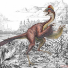 Imagen del 'Anzu wyliei', apodado "el pollo del infierno", el dinosaurio hallado por científicos de EEUU.