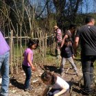 La restauración de una sebe en las primeras jornadas divulgativas realizadas por el colectivo leonés. URZ
