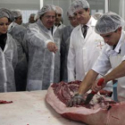Herrera visitó en Guijuelo el principal centro de sacrificio de cerdo ibérico.