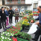 Los puestos de venta de flores animaron ayer la mañana en el pueblo de Almázcara.