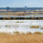 Imagen del Parque Nacional de Las Tablas de Daimiel.