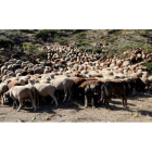 La propuesta pretende garantizar a largo plazo la conservación de las cañadas. ELORA