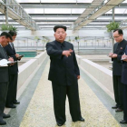 Kim Jong-un muestra su enfado durante la visita a un criadeo de tortugas.
