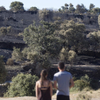 Imagen de una de las zonas devastadas por el fuego en Zamora. MARIAM A. MONTESINOS