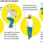 Pasos a seguir ante un ataque de avispas. /
