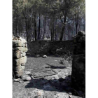 Vista de la zona afectada por el incendio.