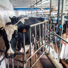 Explotación ganadera de vacuno de leche