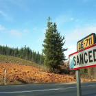 Los pinares de Sancedo donde se perdió el buscador de setas.