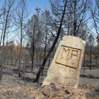 Imagen de archivo de una zona de los bosques quemados en el incendio del pasado agosto.