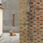 Unos perros al sol en una calle vacía de un pueblo de León. JESÚS F. SALVADORES