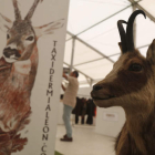 La taxidermia tuvo también presencia en las Jornadas de Caza. FERNANDO OTERO