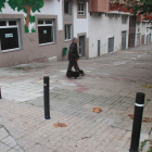 Bolardos instalados en la calle Valle del Silencio.