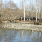 Estado del cauce del Cabrera en Puente de Domingo Flórez.