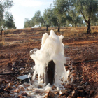 El nuevo chorro aparecido en la provincia de Ciudad Real. BELDAD