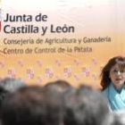 Silvia Clemente ayer, en un acto institucional de su consejería