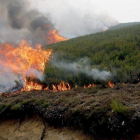 Un bombero realiza un cortafuegos en las inmediaciones de la reserva de la biosfera de Muniellos (Asturias), considerado como el robledal mejor conservado de Espana, el pasado lunes.