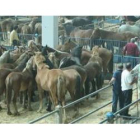 La tradicional feria de ganado equino atrae a León a ganaderos de toda España.