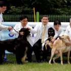 Hwang Woo-suk presentó en el mes de mayo al primer perro clonado