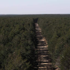 Imagen del bosque leonés de Riocamba. JESÚS F. SALVADORES