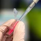 Vacuna COVID-19: España fija la fehca para probarla en humanos