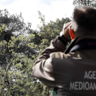 Un agente medioambiental de la provincia de León. JESÚS