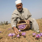 EFE/EPA/FAROOQ KHAN