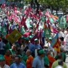 Decenas de banderas de León pudieron verse ayer en la manifestación convocada por Asaja en Madrid